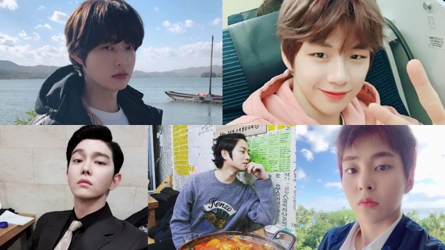 Selebriti cowok Korea pencinta kucing. Foto: Berbagai Sumber