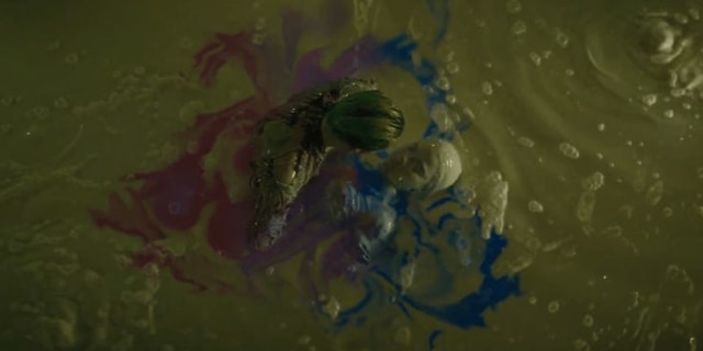 Joker dan Harley Quinn (Sumber: WB)