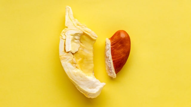 Ilustrasi Biji Durian Foto: Shutterstock/SEE D JAN