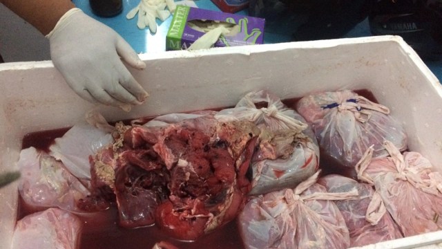 Daging penyu yang berhasil diamankan polisi di Pelabuhan Padangbai, Kabupaten Karangasem, Bali, Sabtu (6/4). Foto: Dok. BKSDA Bali