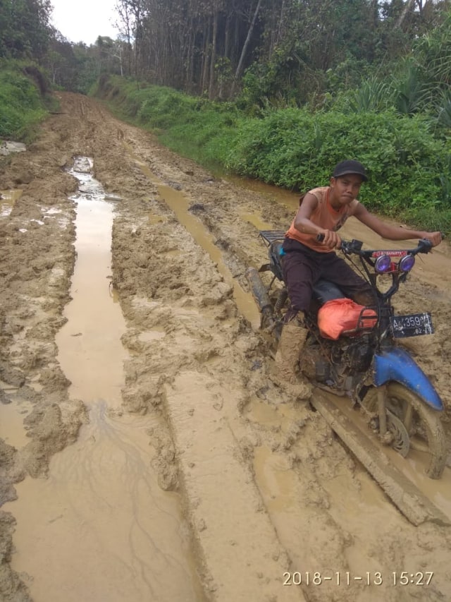 Kondisi jalan yang membelah TNBBS menuju SMAN 2 Bengkunat Belimbing | foto. Dokumentasi Feri