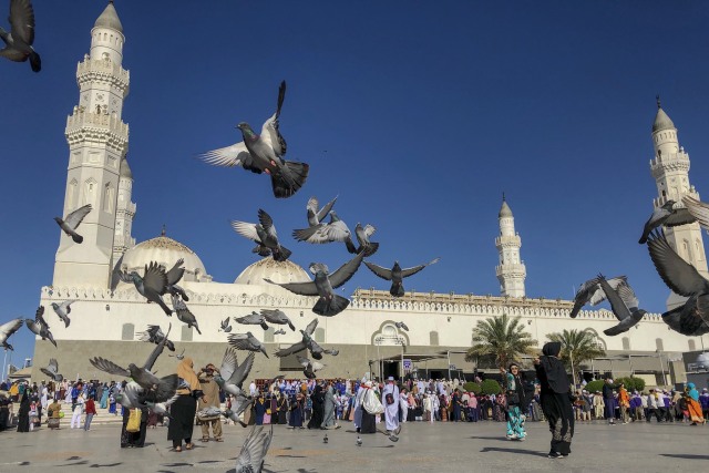 Burung merpati di areal Masjid Quba, Arab Saudi. Foto: Suparta/acehkini