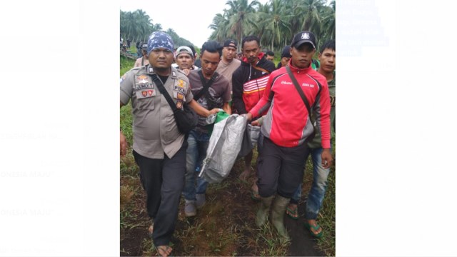 POLISI dibantu warga menggotong tubuh Subli, keryawan PT Riau Sakti United Plantation (RSUP) USAI diterkam di dimakan  buaya,, Rabu malam, 190 April 2019, pukul 23.00 WIB. 