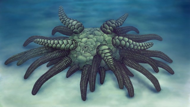 Ilustrasi rekonstruksi Sollasina cthulhu. Foto: Elissa Martin/Yale Peabody Museum of Natural History