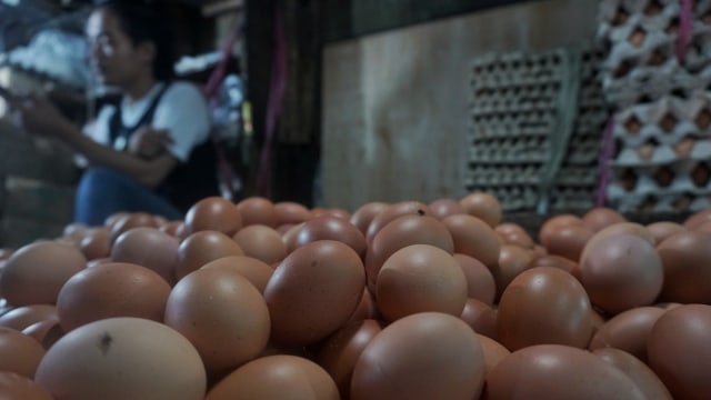 Pedagang telur di pasar tradisional Pasar Minggu, Jakarta Selatan. Foto: Irfan Adi Saputra/kumparan