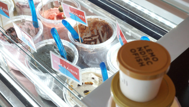 lemondiscofish Foto: Nugroho Sejati/kumparan