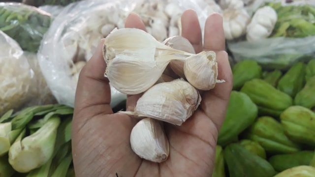 Ilustrasi bawang putih. Foto: Ema Fitriyani/kumparan