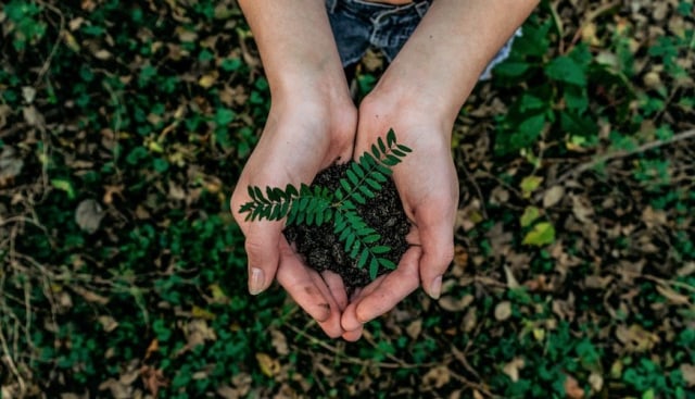 com-Rayakan Hari Bumi dengan Berbagai Kegiatan Positif bagi Lingkungan. Foto: Unsplash