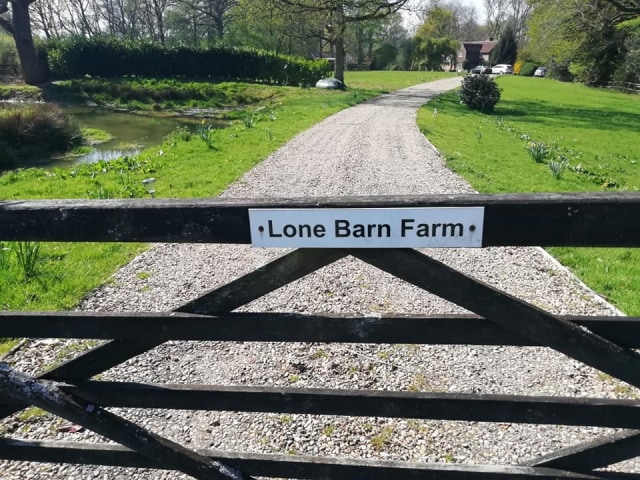 Lokasi perkemahan gratis untuk Relawan Jokowi Amin UK