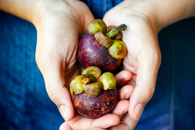 Ilustrasi Buah Manggis Foto: Shutterstock/Ekaterina_Minaeva