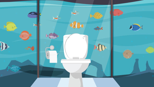 Toilet Jepang berdinding akuarium raksasa Foto: Putri Sarah Arifira/kumparan