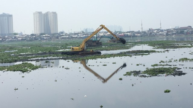 Aktivitas pengerukan tumpukan Eceng Gondok di Waduk Pluit. Foto: Andesta Herli Wijaya/kumparan