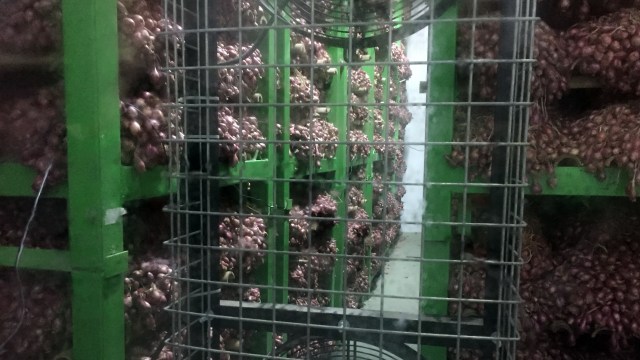 Suasana Gudang Modern Milik Perum Bulog di Brebes, Jawa Tengah. Foto: Abdul Latif/kumparan