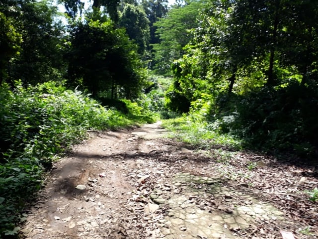 Kondisi jalan menuju Desa Uring. Dok: Lentera Maluku
