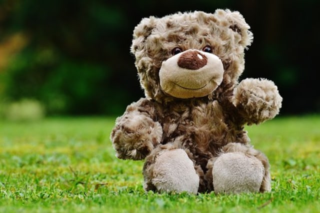 Ilustrasi Teddy Bear. foto: pixabay