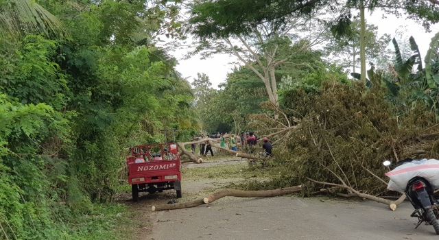 Proses pembongkaran jalan yang diblokir. Foto: Info Dompu