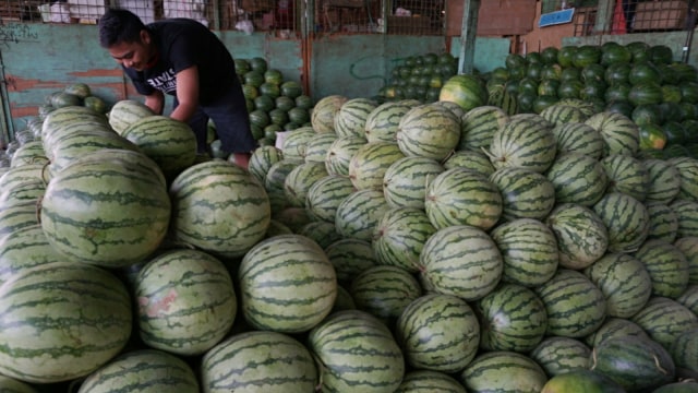 Seorang pedagang sedang memilih buah Semangka  di Pasar Induk Kramat Jati, Jakarta Timur, Senin (6/5). Foto: Jamal Ramadhan/kumparan