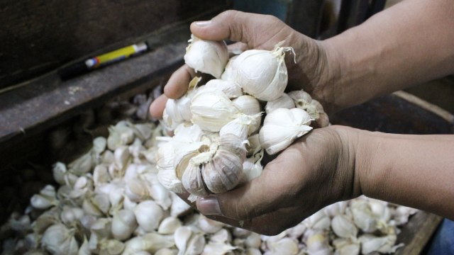 Bawang putih jenis kating asal Tiongkok yang dijual pedagang di Pasar Induk Kramat Jati Jakarta Timur. Foto: Antara/Devi Nindy