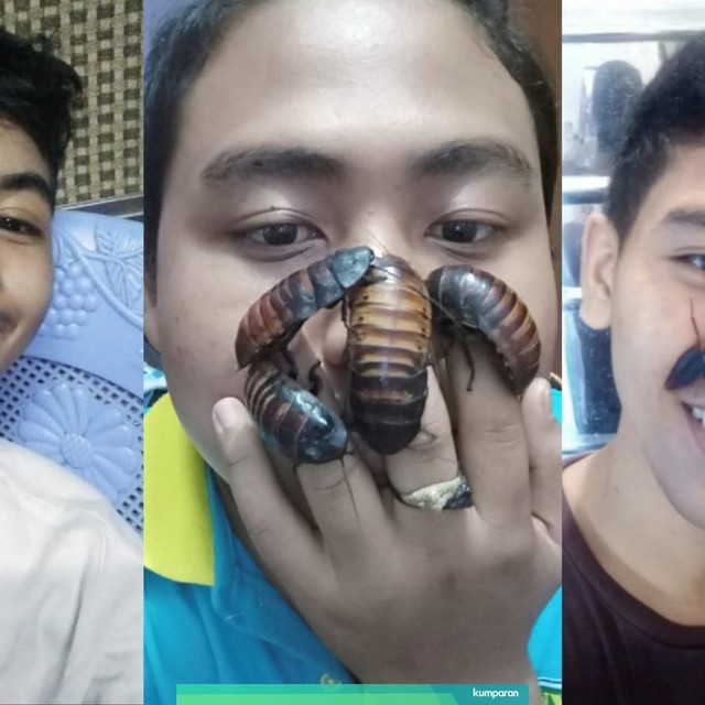 Crockroach Challenge yang sedang viral di media sosial. Foto: Dok. Kevin Dalisay Recio, Alex Aung, dan Myat Htoo Naung/Facebook