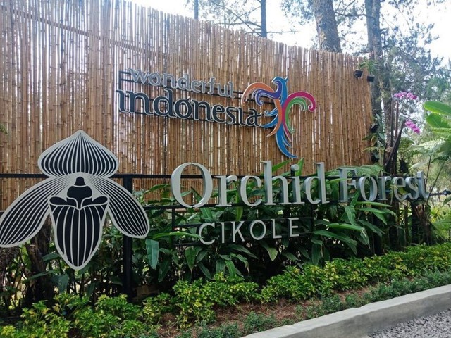 com-Orchid Forest Cikole Bandung Foto: Dok. Kemenpar