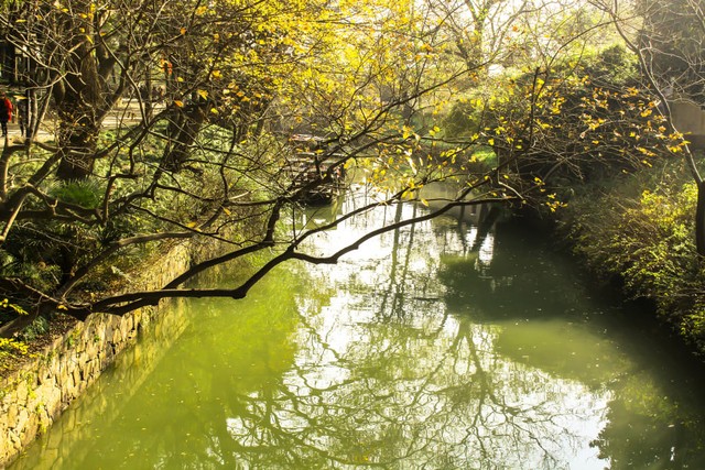 Pemandangan Kanal Suzhou. foto: dok. pribadi