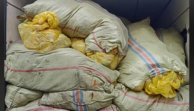 300 Kg Ganja dari Aceh Disembunyikan Diantara Karung Limbah Medis
