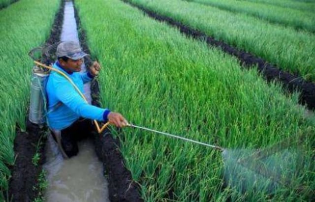 Hindari pestisida palsu, petani diminta konsultasi ke penyuluh