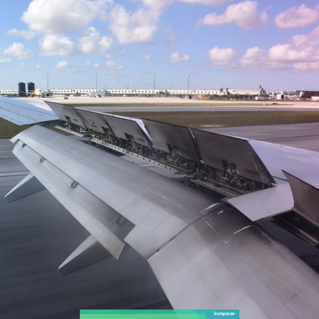 Ilustrasi pesawat yang mendarat pada sore hari Foto: Shutter Stock