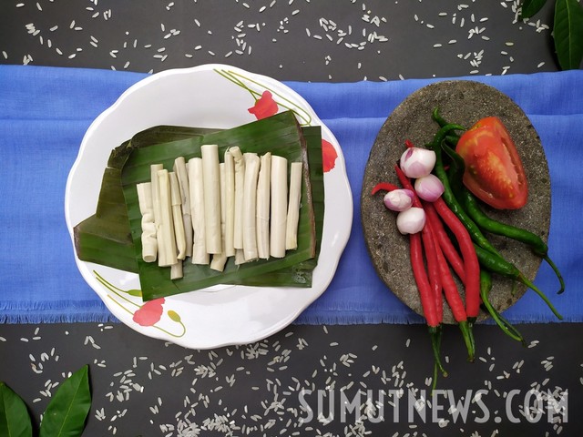 Pakkat/foto: Sumut News