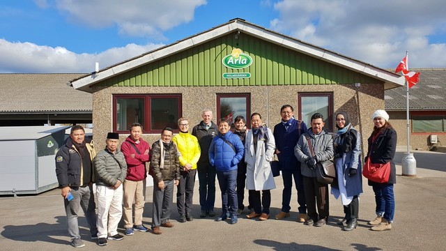 Mitra Peternak Indofood CBP di salah satu peternakan sapi organik Arla di Denmark Foto: Imesh
