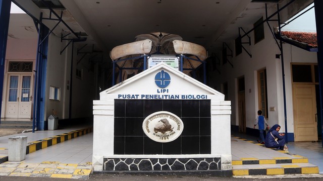Museum Zoologi di Bogor dikelola oleh Pusat Penelitian Biologi LIPI. Foto: Helinsa Rasputri/kumparan