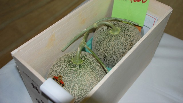 Melon Yubari di Jepang Foto: AFP/Jiji Press