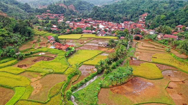 Photo Credit: Pexels