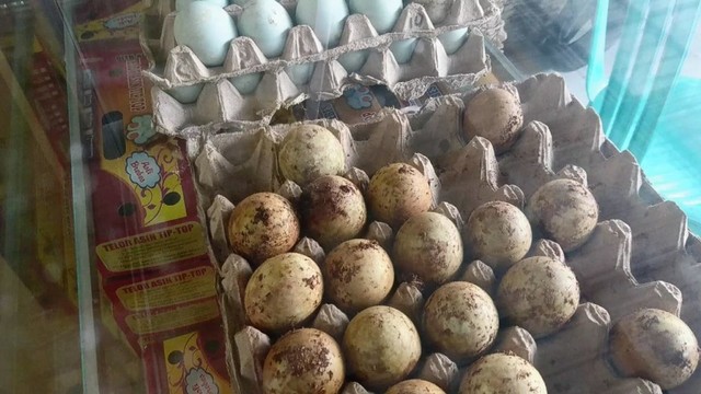 Telur asin Brebes. (Foto: Yunar Rahmawan)