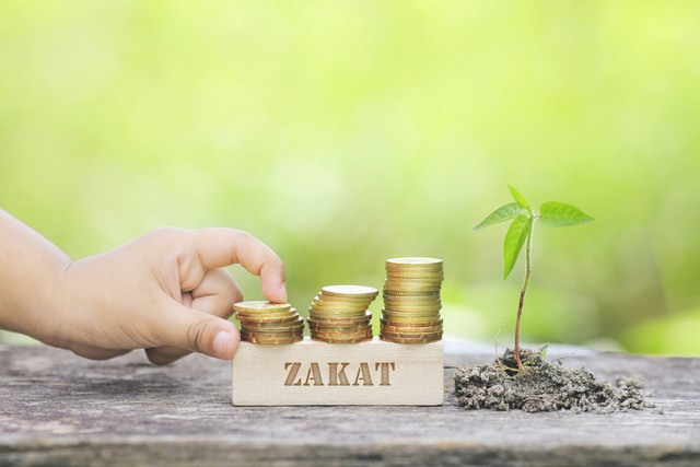 com-Ilustrasi zakat. Foto: Shutterstock