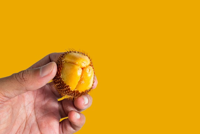 Ilustrasi salak Foto: dok.shutterstock