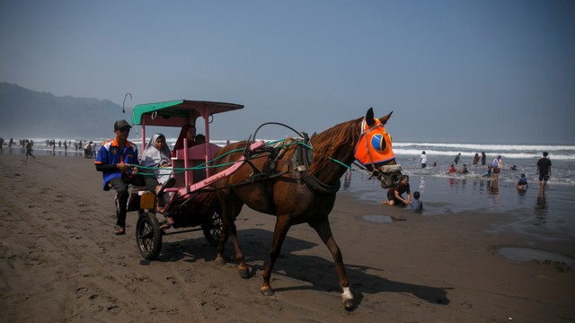 Wisatawan naik delman sewaan saat berkunjung ke kawasan wisata Pantai Parangtritis di Bantul, DI Yogyakarta, Kamis (6/6). Foto: ANTARA FOTO/Hendra Nurdiyansyah