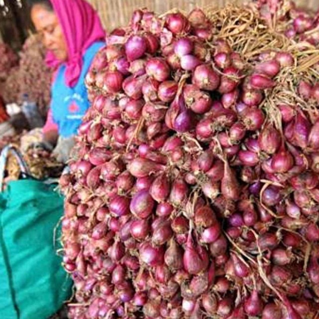 Ilustrasi bawang merah. Foto: Dok. Kementerian Pertanian