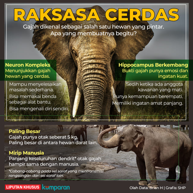 Konten Krispi - Raksasa Cerdas Foto: kumparan