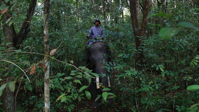 Edi dan Karnangun sedang berpatroli Foto: Aditia Noviansyah/kumparan