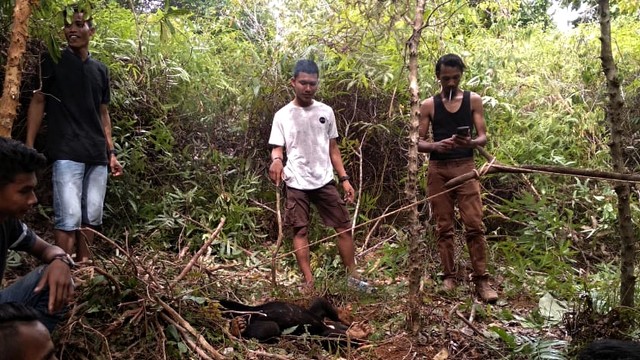 Warga mengamati beruang  yang terkena jerat Babi di Aceh. Foto: Dok. Warga