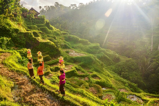 Ubud, Gianyar Foto: Shutter Stock
