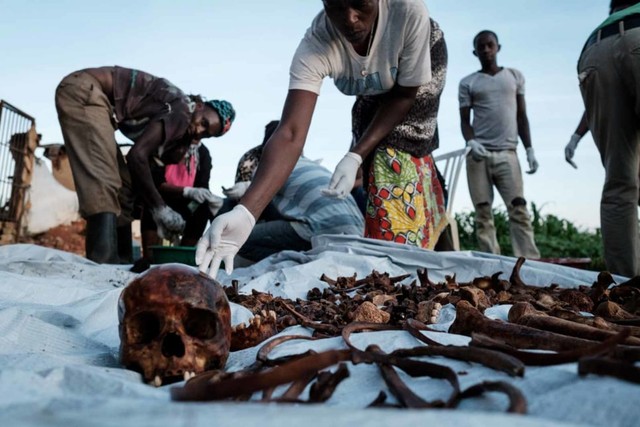 Sejumlah relawan mengumpulkan sisa-sisa tulang korban genosida Rwanda yang ditemukan dari lubang-lubang tersembunyi. Foto: AFP/YASUYOSHI CHIBA