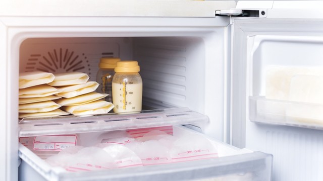 ASI perah di dalam kulkas Foto: Shutterstock