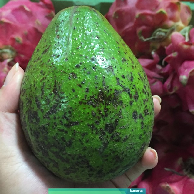 Buah Alpukat di Pasar Senen, Jakarta. Foto: Selfy Sandra Momongan/kumparan