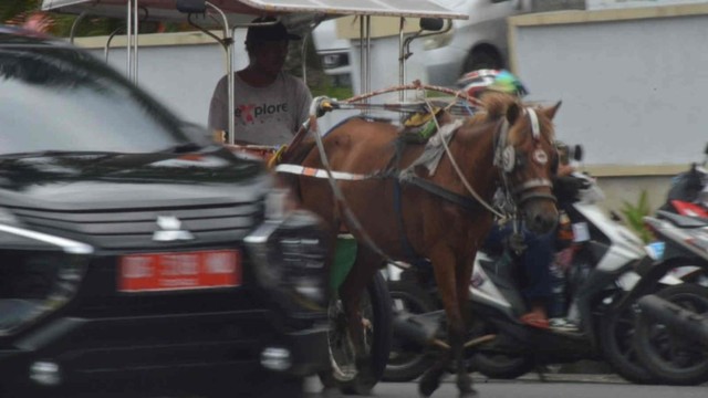 Abjan Ibrahim, salah satu kusir di Ternate, Maluku utara, yang memilih bertahan. Foto: Olis/cermat