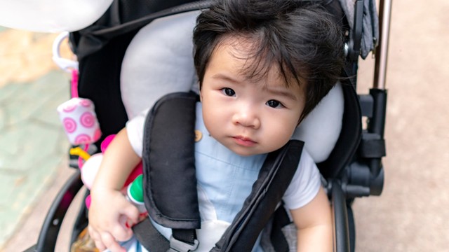Anak balita duduk di atas stroller Foto: Shutterstock