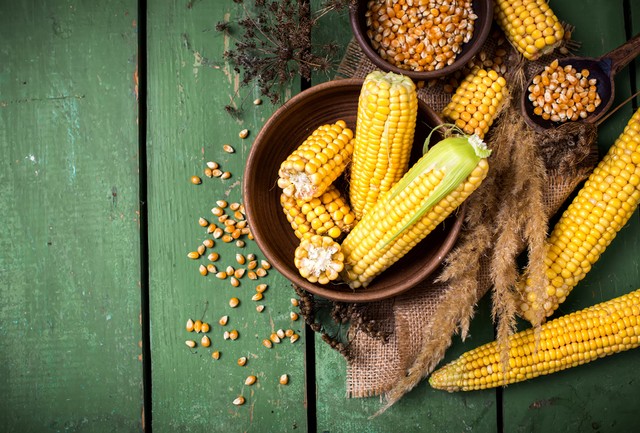 Ilustrasi jagung. Foto: dok.shutterstock