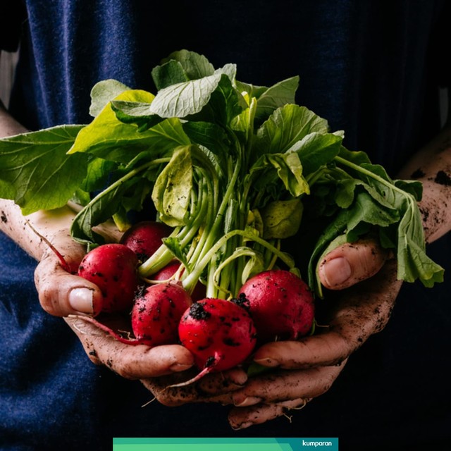 com-Sayur dan buah organik lebih baik bagi kesehatan karena kandungan residu pestisidanya sedikit atau tidak ada sama sekali. Foto: Shutterstock
