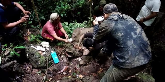 Tim BKSDA, FKL dan dokter berusaha mengobati anak gajah yang ditemukan. Dok. BKSDA Aceh